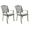 Saltoro Sherpi Wynn 26 Inch Modern Patio Dining Armchair with Cushion, Aluminum, Gray-